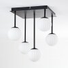 Chehalis Plafonnier, Boule lumineuse Blanc, 5 lumières