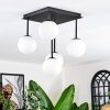Chehalis Plafonnier, Boule lumineuse Blanc, 5 lumières