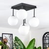 Chehalis Plafonnier, Boule lumineuse Blanc, 5 lumières