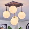Chehalis Plafonnier, Boule lumineuse Blanc, 5 lumières