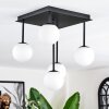 Chehalis Plafonnier, Boule lumineuse Blanc, 5 lumières