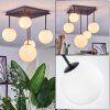 Chehalis Plafonnier, Boule lumineuse Blanc, 5 lumières