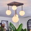 Chehalis Plafonnier, Boule lumineuse Blanc, 5 lumières