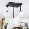 Chehalis Plafonnier, Boule lumineuse Blanc, 5 lumières
