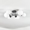 Chehalis Plafonnier, Boule lumineuse Blanc, 6 lumières