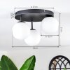 Chehalis Plafonnier, Boule lumineuse Blanc, 3 lumières