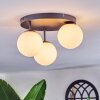 Chehalis Plafonnier, Boule lumineuse Blanc, 3 lumières