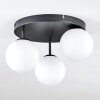 Chehalis Plafonnier, Boule lumineuse Blanc, 3 lumières