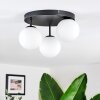Chehalis Plafonnier, Boule lumineuse Blanc, 3 lumières