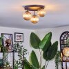 Chehalis Plafonnier, Boule lumineuse Ambre, 3 lumières