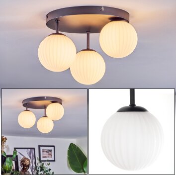 Chehalis Plafonnier, Boule lumineuse Blanc, 3 lumières