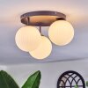 Chehalis Plafonnier, Boule lumineuse Blanc, 3 lumières