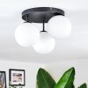 Chehalis Plafonnier, Boule lumineuse Blanc, 3 lumières