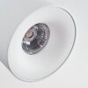 Narel Plafonnier, Spot de plafond LED Blanc, 3 lumières