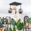 Chehalis Plafonnier, Boule lumineuse Ambre, Clair, Fumé, 5 lumières