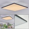 Barullu Plafonnier, Panel LED Noir, Blanc, 1 lumière