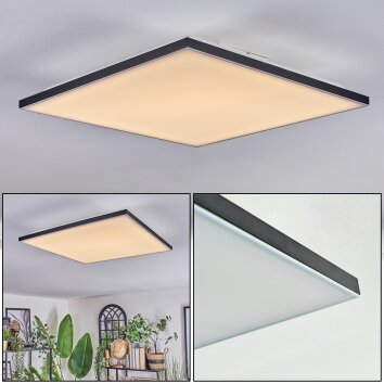 Barullu Plafonnier, Panel LED Noir, Blanc, 1 lumière