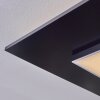 Barullu Plafonnier, Panel LED Noir, Blanc, 1 lumière