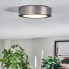 Tavin Plafonnier LED Nickel mat, 1 lumière