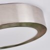 Tavin Plafonnier LED Nickel mat, 1 lumière