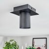 Udena Plafonnier LED Noir, 1 lumière