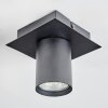 Udena Plafonnier LED Noir, 1 lumière
