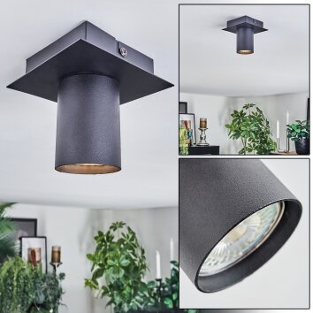 Udena Plafonnier LED Noir, 1 lumière