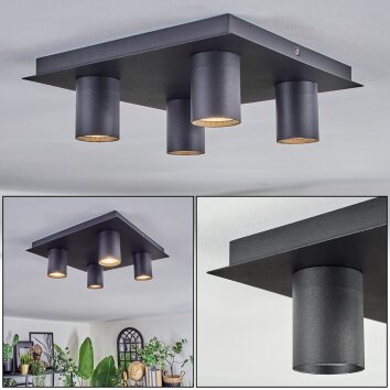 Udena Plafonnier LED Noir, 4 lumières