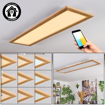 Belan Plafonnier, Panel LED Écru, Blanc, 1 lumière