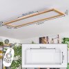 Belan Plafonnier, Panel LED Écru, Blanc, 1 lumière, Télécommandes