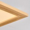 Belan Plafonnier, Panel LED Écru, Blanc, 1 lumière, Télécommandes