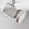 Danil Plafonnier, Spot de plafond LED Nickel mat, 6 lumières