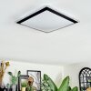Castasegna Plafonnier, Panel LED Noir, Blanc, 1 lumière