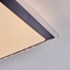 Castasegna Plafonnier, Panel LED Noir, Blanc, 1 lumière