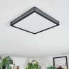 Finsrud Plafonnier, Panel LED Noir, 1 lumière
