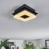 Walon Plafonnier LED Noir, 1 lumière