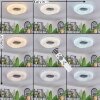 Zuril Plafonnier LED Blanc, 1 lumière, Télécommandes