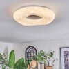 Zuril Plafonnier LED Blanc, 1 lumière, Télécommandes
