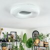 Zuril Plafonnier LED Blanc, 1 lumière, Télécommandes