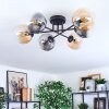 Gastor Plafonnier, Boule lumineuse Ambre, Clair, Fumé, 6 lumières