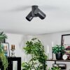 Daril Plafonnier, Spot de plafond Noir, 2 lumières