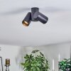 Daril Plafonnier, Spot de plafond Noir, 2 lumières