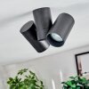 Daril Plafonnier, Spot de plafond Noir, 2 lumières