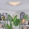 Borin Plafonnier LED Gris, Blanc, 1 lumière