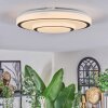 Borin Plafonnier LED Gris, Blanc, 1 lumière