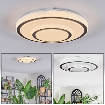 Borin Plafonnier LED Gris, Blanc, 1 lumière
