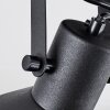Tylar Plafonnier, Spot de plafond Noir, 2 lumières