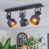 Tylar Plafonnier, Spot de plafond Noir, 3 lumières