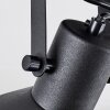 Tylar Plafonnier, Spot de plafond Noir, 3 lumières