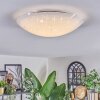Ferli Plafonnier LED Blanc, 1 lumière